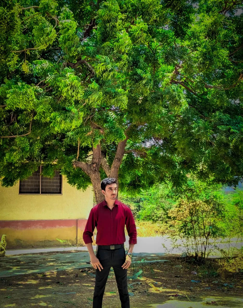 Shaheer Riaz Director Portrait SheraAI - Full Stack Developer 35+ Languages - شاہیر ریاض ڈائریکٹر